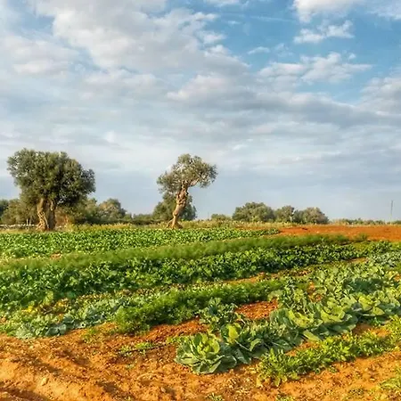 Alloggio per agriturismo Masseria La Lizza - Ospitalità Rurale