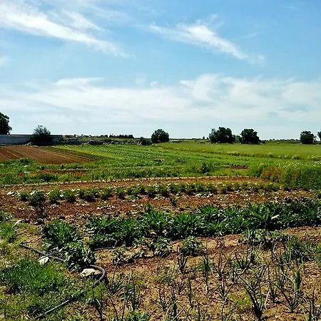 Masseria La Lizza - Ospitalità Rurale Alloggio per agriturismo Lecce